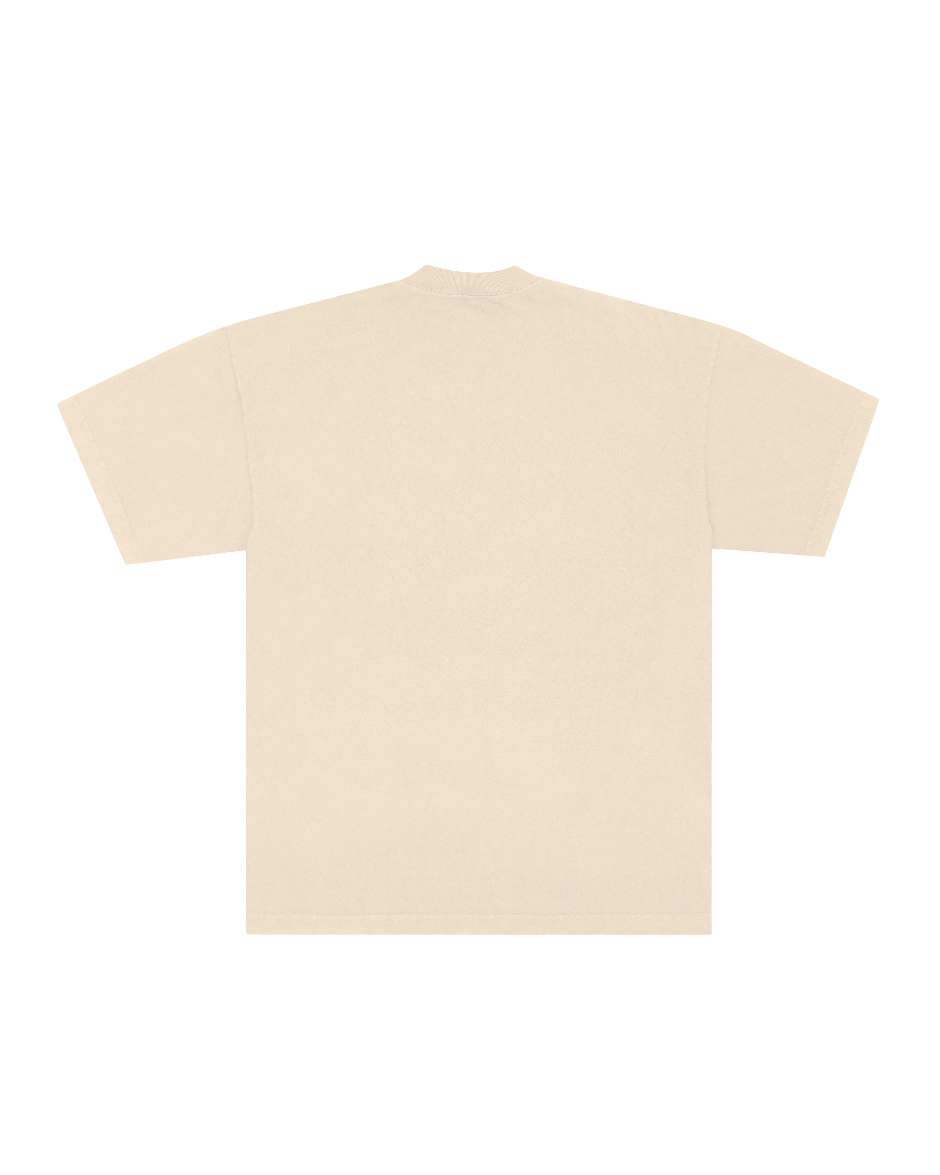 Classic Oversized Tee